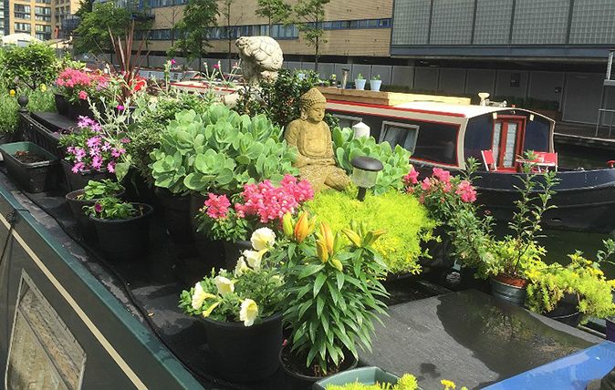 boats in bloom