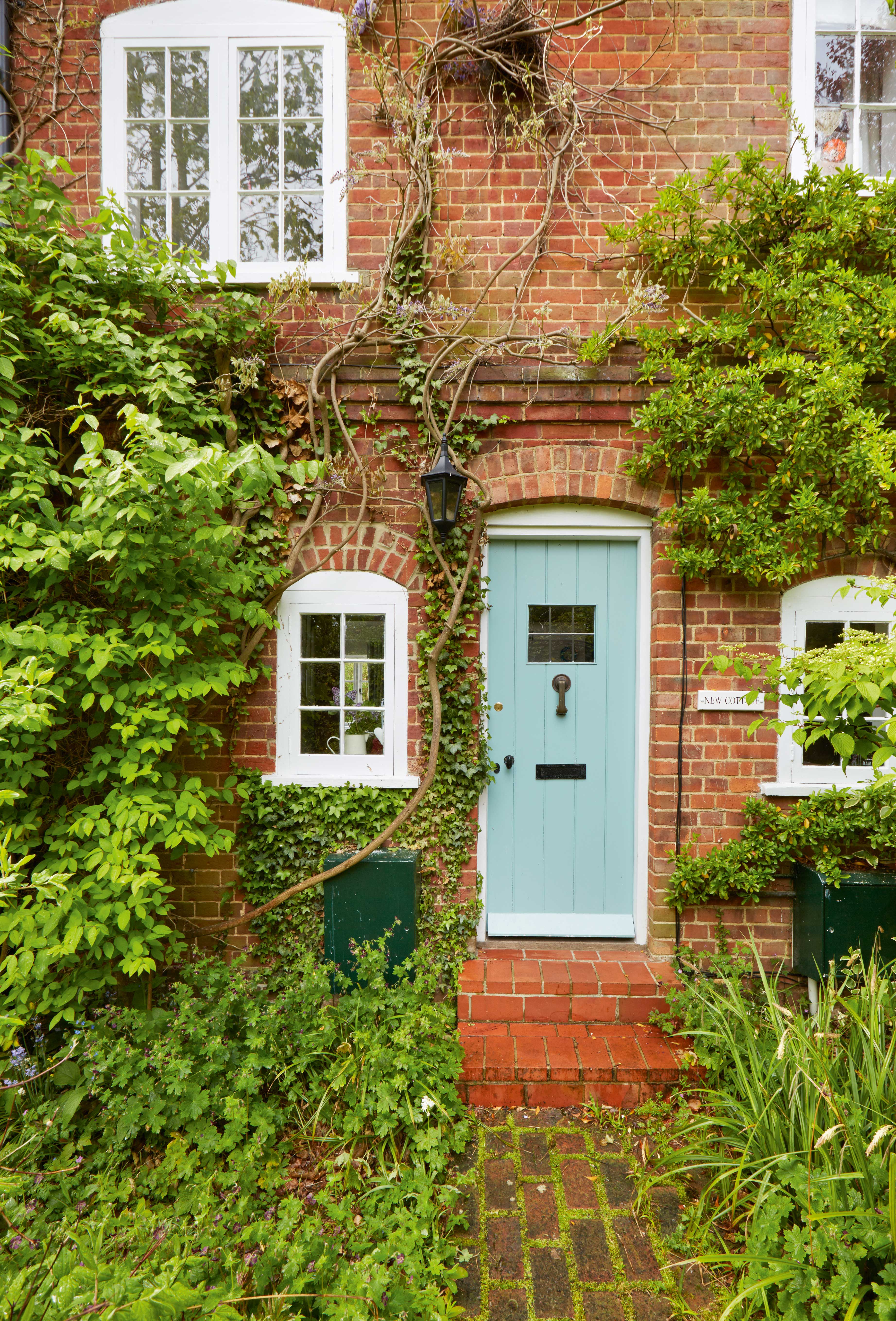 Ivy growing up brick wall house exterior