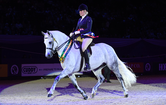 Horse of the Year Show 05 10 2017