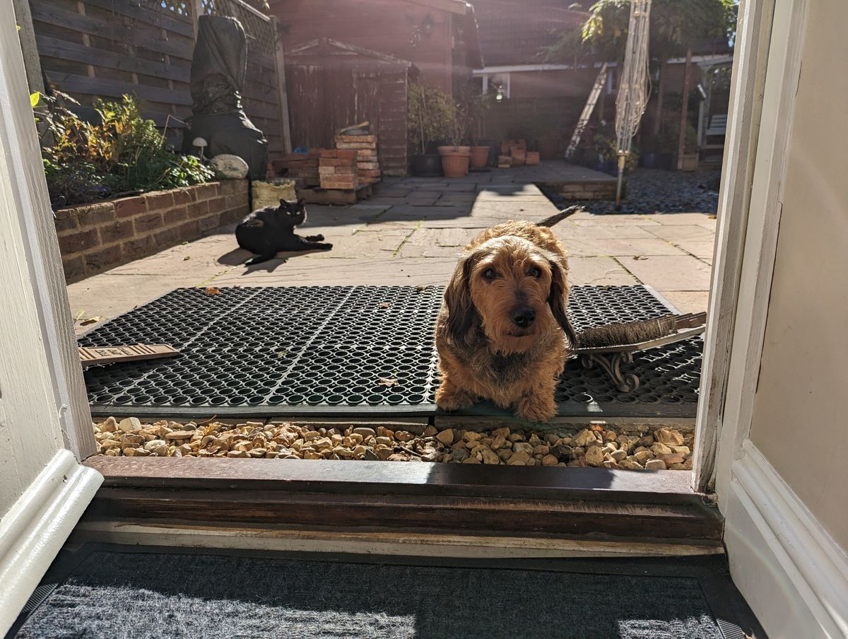 A photo captured on the Google Pixel 7 Pro
