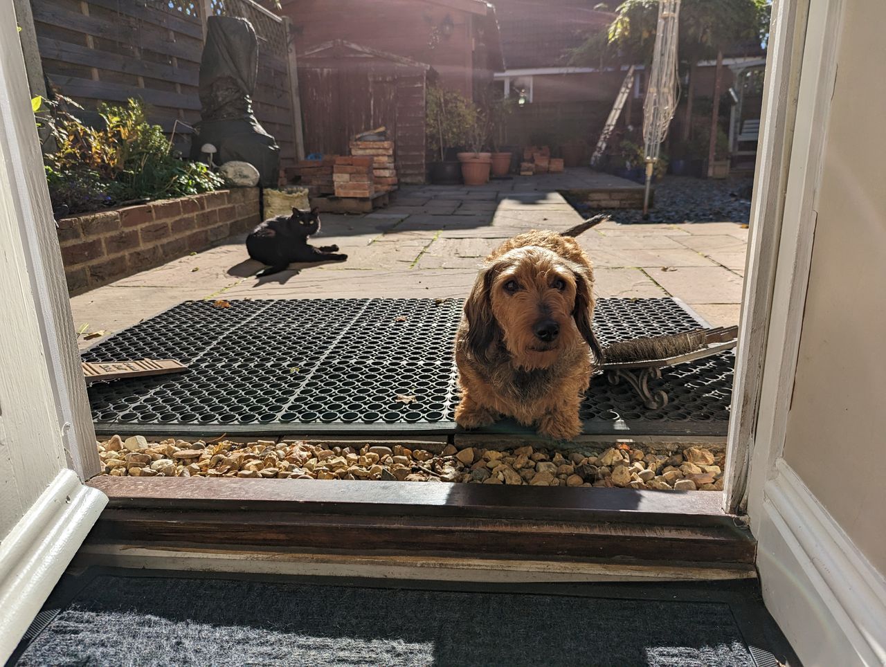 A photo captured on the Google Pixel 7 Pro