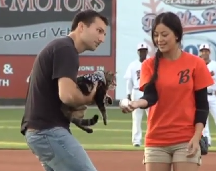 &amp;#039;Hero cat&amp;#039; throws out the first pitch in the laziest way possible