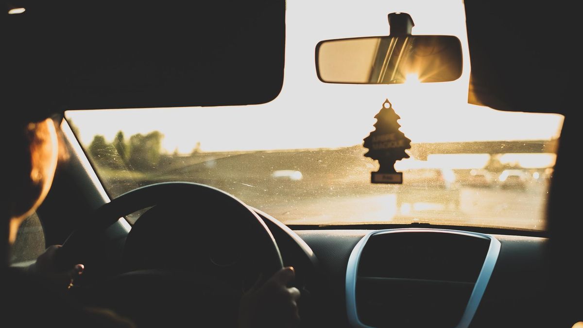 Best Car Air Fresheners theradar