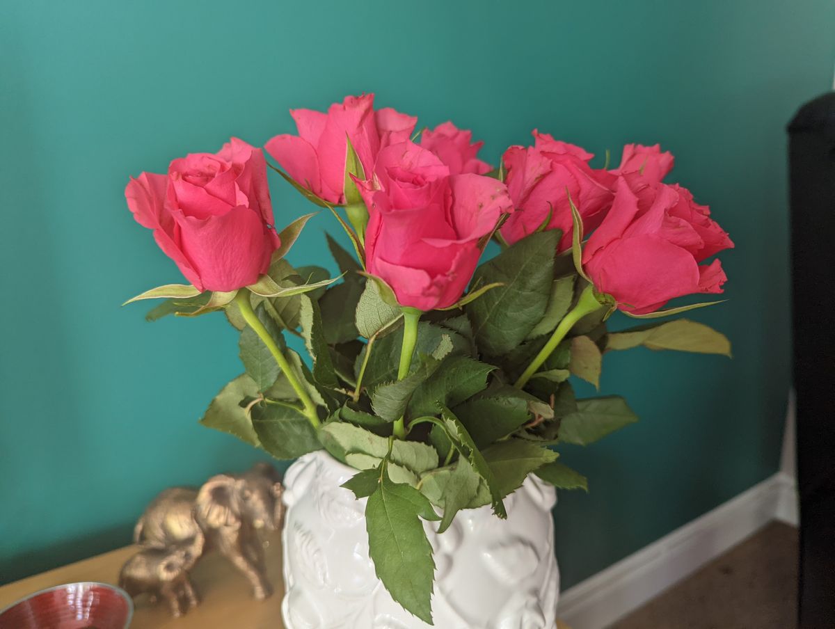 Google Pixel 6 Pro camera samples