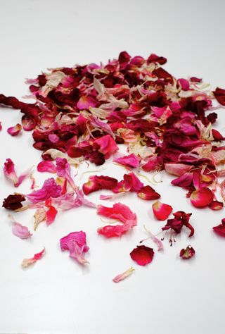 Dried pink rose petals for potpourri