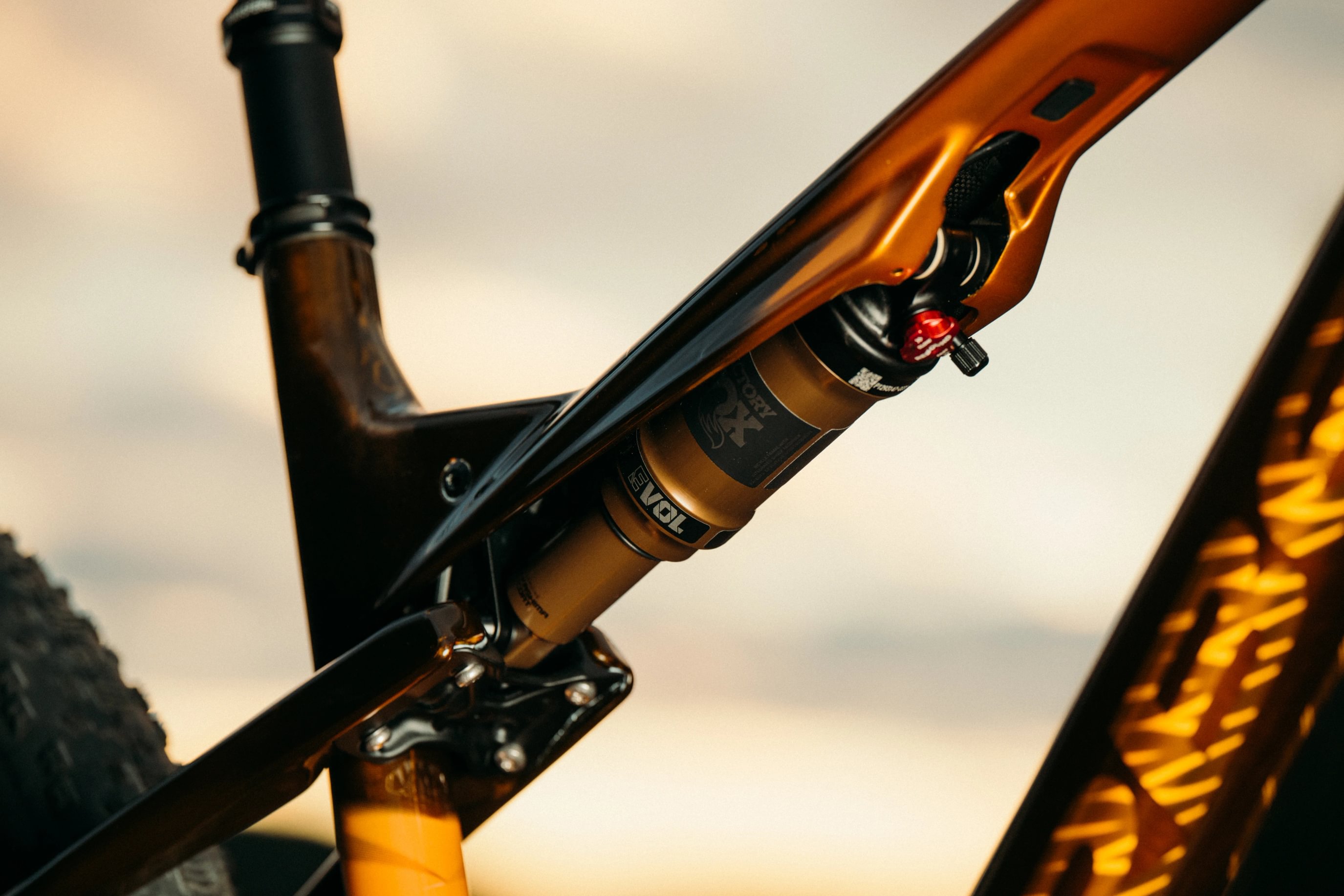 Orbea Oiz