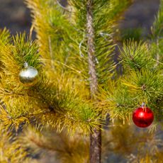 yellow christmas tree with ornaments