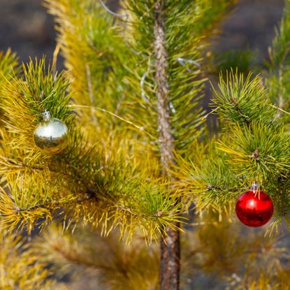 yellow christmas tree with ornaments