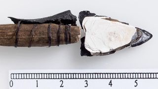 Exceptionally well-preserved arrows from the Bronze Age have melted out of the Løpesfonna ice patch in Oppdal municipality in central Norway. They have intact lashing and projectiles made from shells.