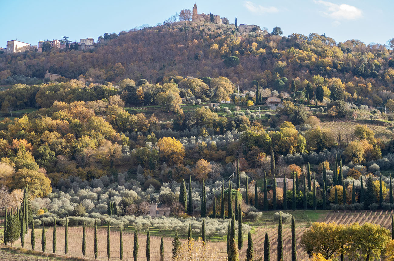 The town of Montalcino from the Capanna estate credit Michaela Morris