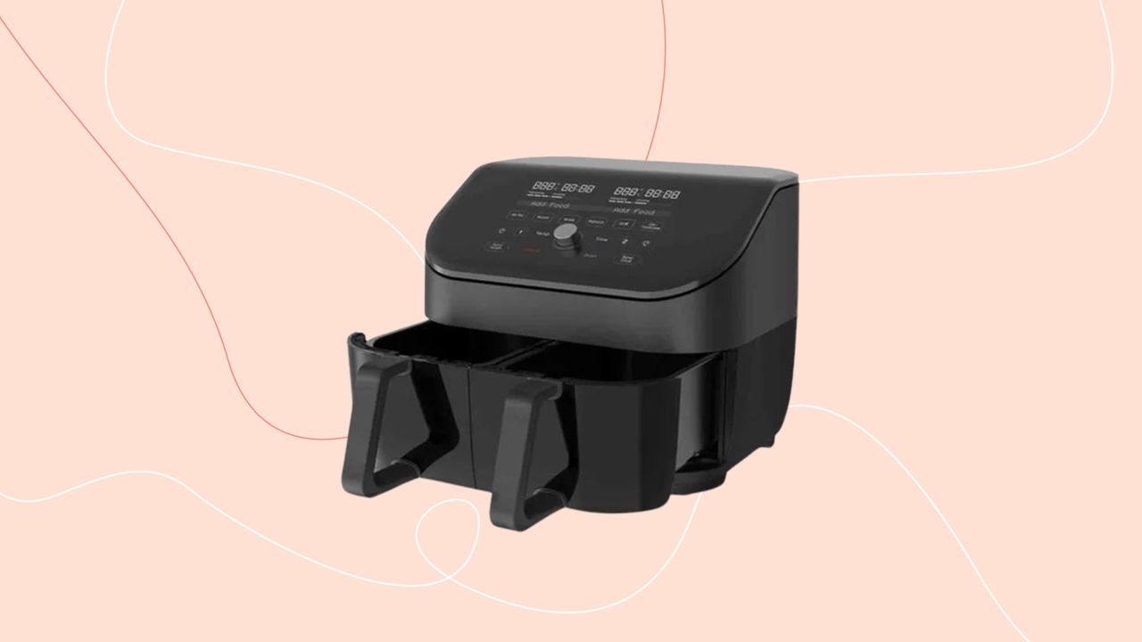 Instant Vortex Plus Dual Basket air fryer on pink background