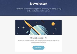 newsletter templates: pook newsletter