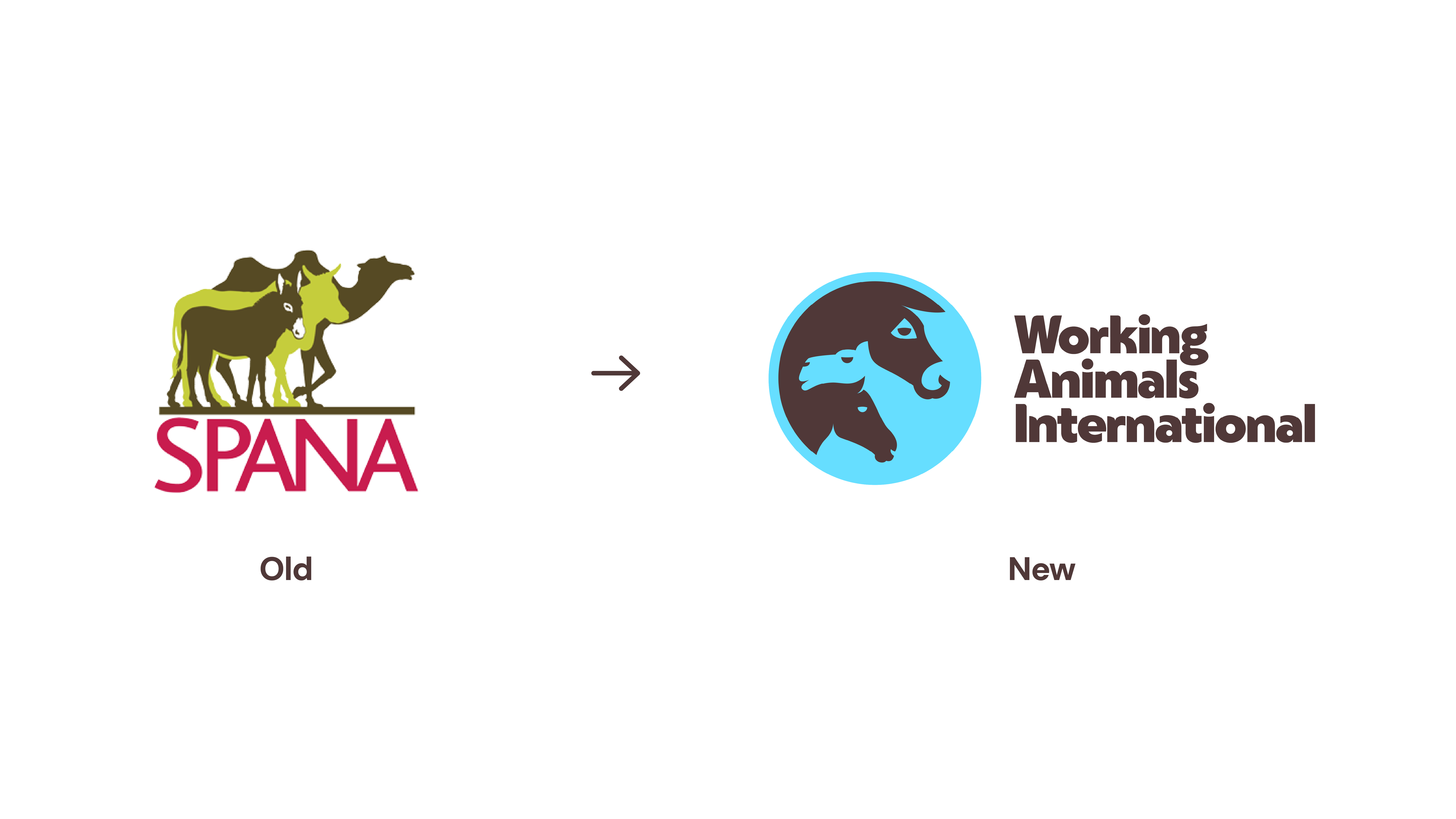 SPANA old logo and new logo for working animals international with three animals in a globe