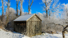 shed in winter