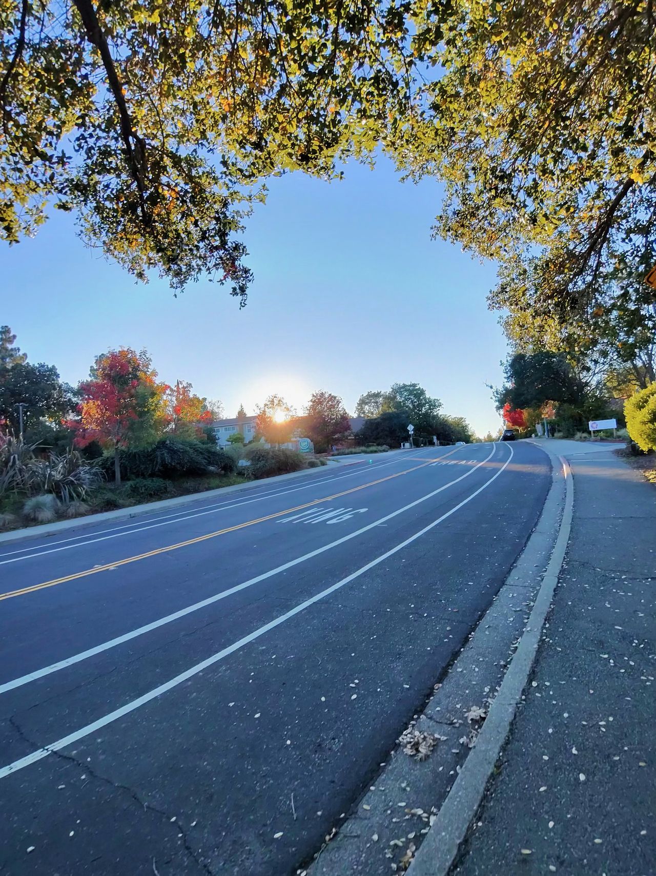 A photo taken with the Oakley Meta Vanguard smart glasses, showing sunset over trees and houses behind a road.