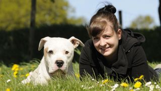 American Bulldog sitting in grass with owner