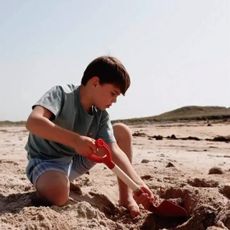 Prince William Princess Kate Tresco Dolphin House