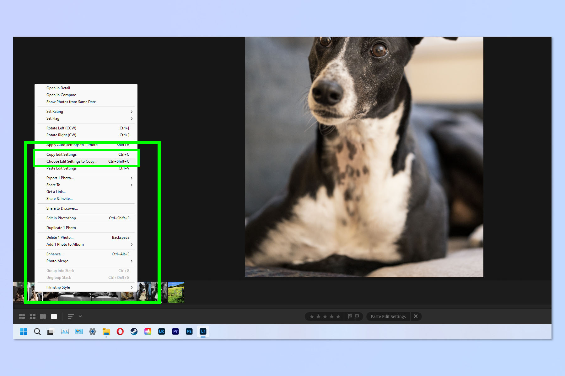 Снимок экрана, показывающий, как копировать и вставлять изменения в Adobe Lightroom.