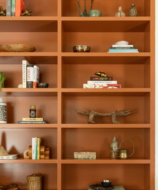 dark orange shelving unite with books and styled decorative objects