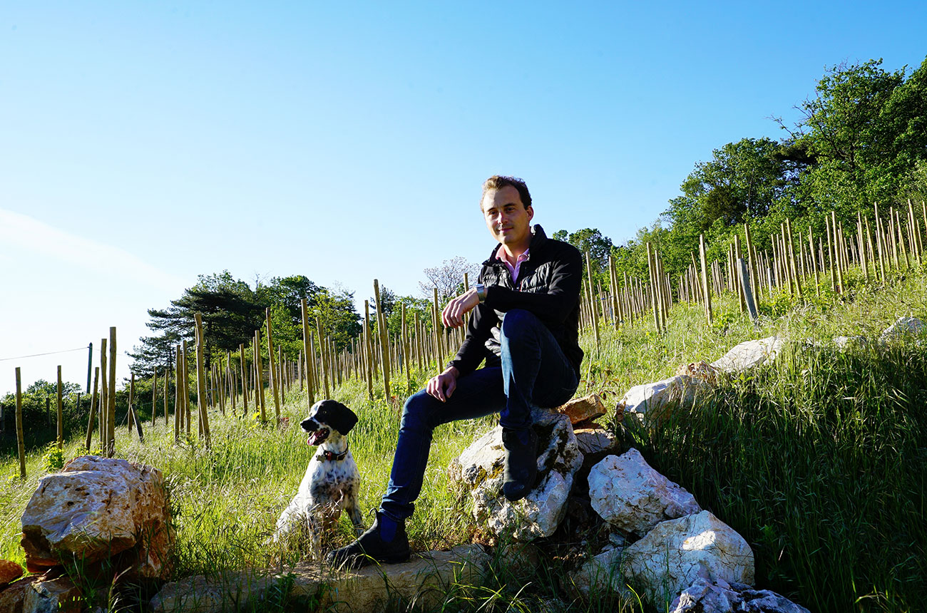 charles lachaux, winemaker