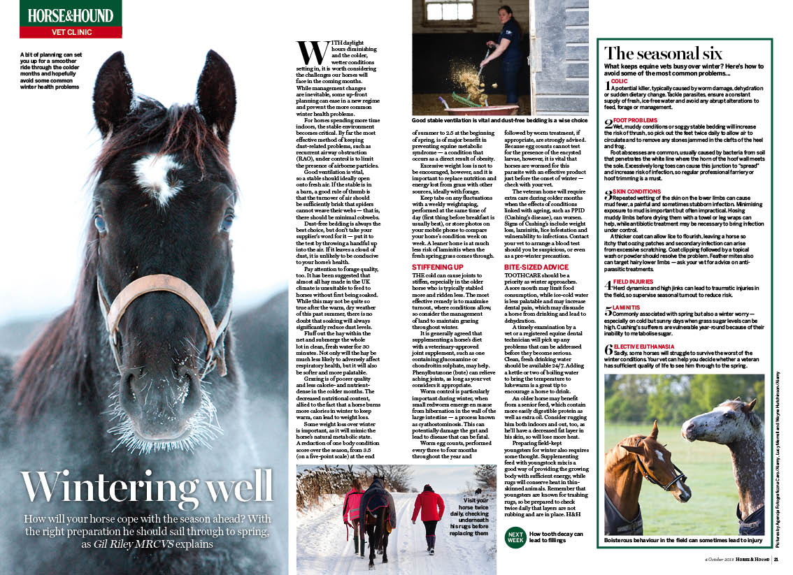 VET-2PP-Wintering-well-V2.jpg