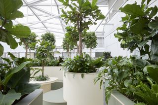 sky garden art piece in Chelsea hospital, London