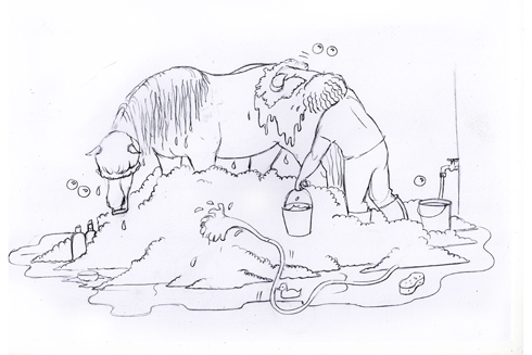 bath-drawing.jpg