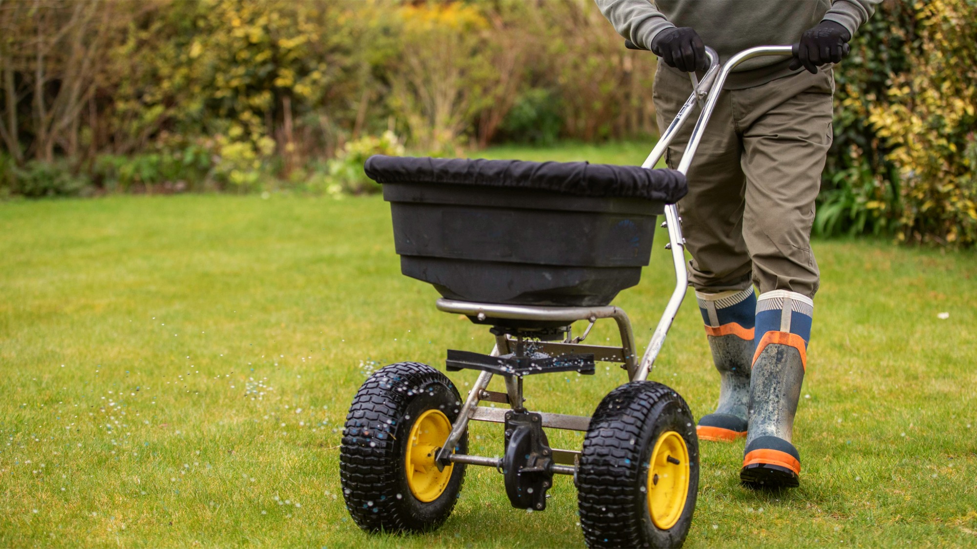 Man fertilizing fall lawn