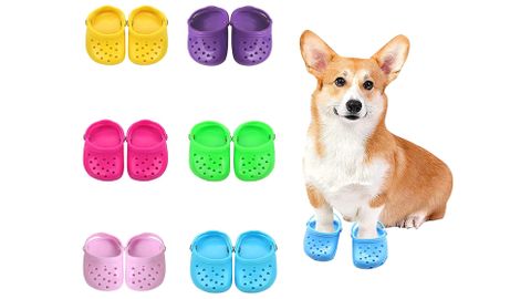 amazon dog crocs