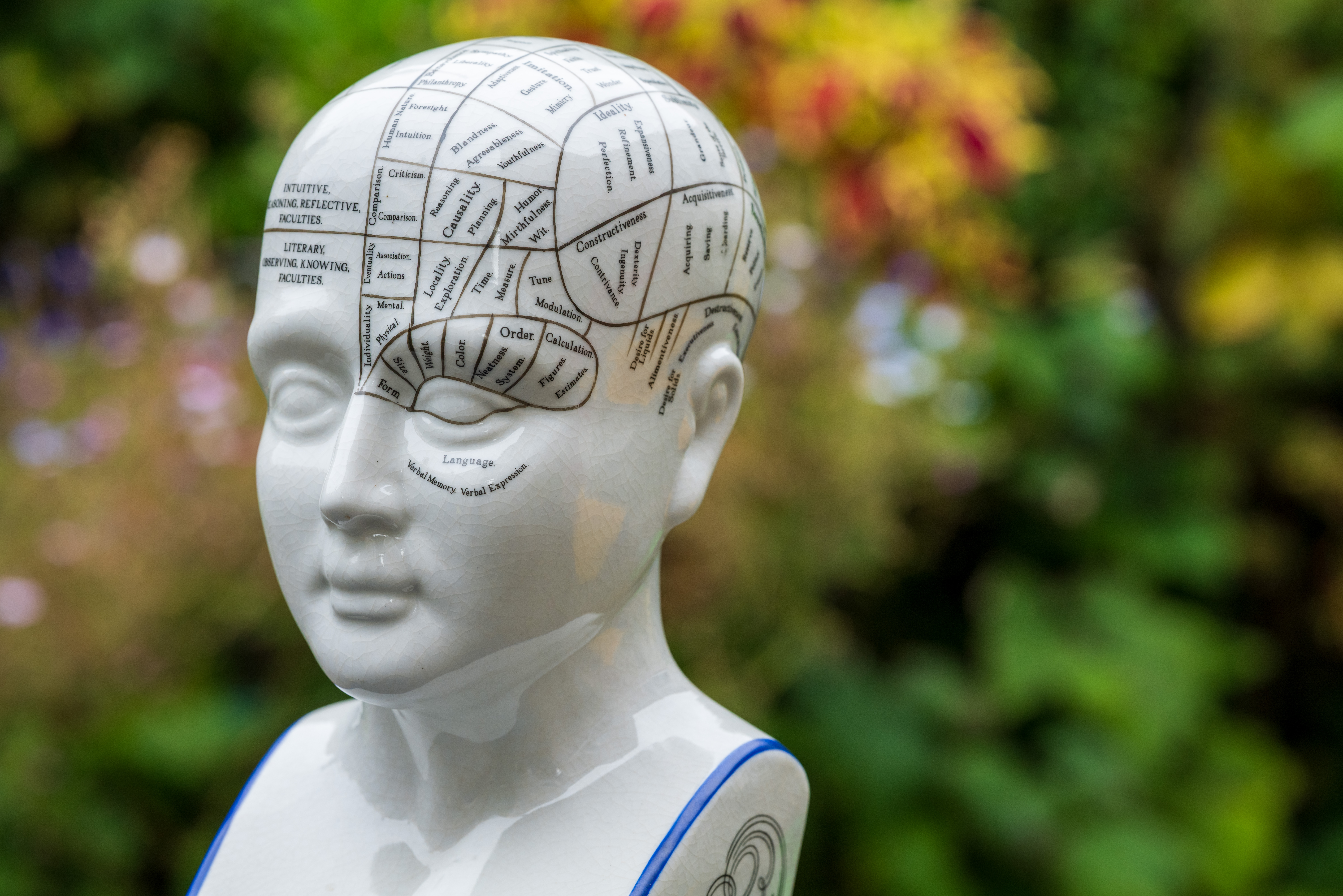 Sigma 135mm f/1.4 DG Art example shot