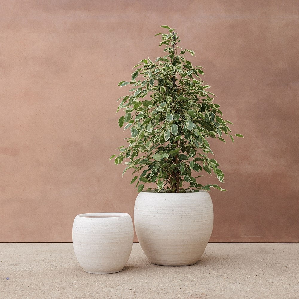 Large Textured Plant Pot - White