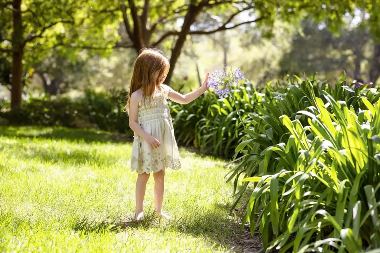 Princess Lilibet holding a flower in a garden