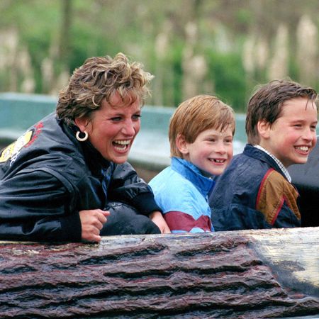 Princess Diana Prince Harry Prince William
