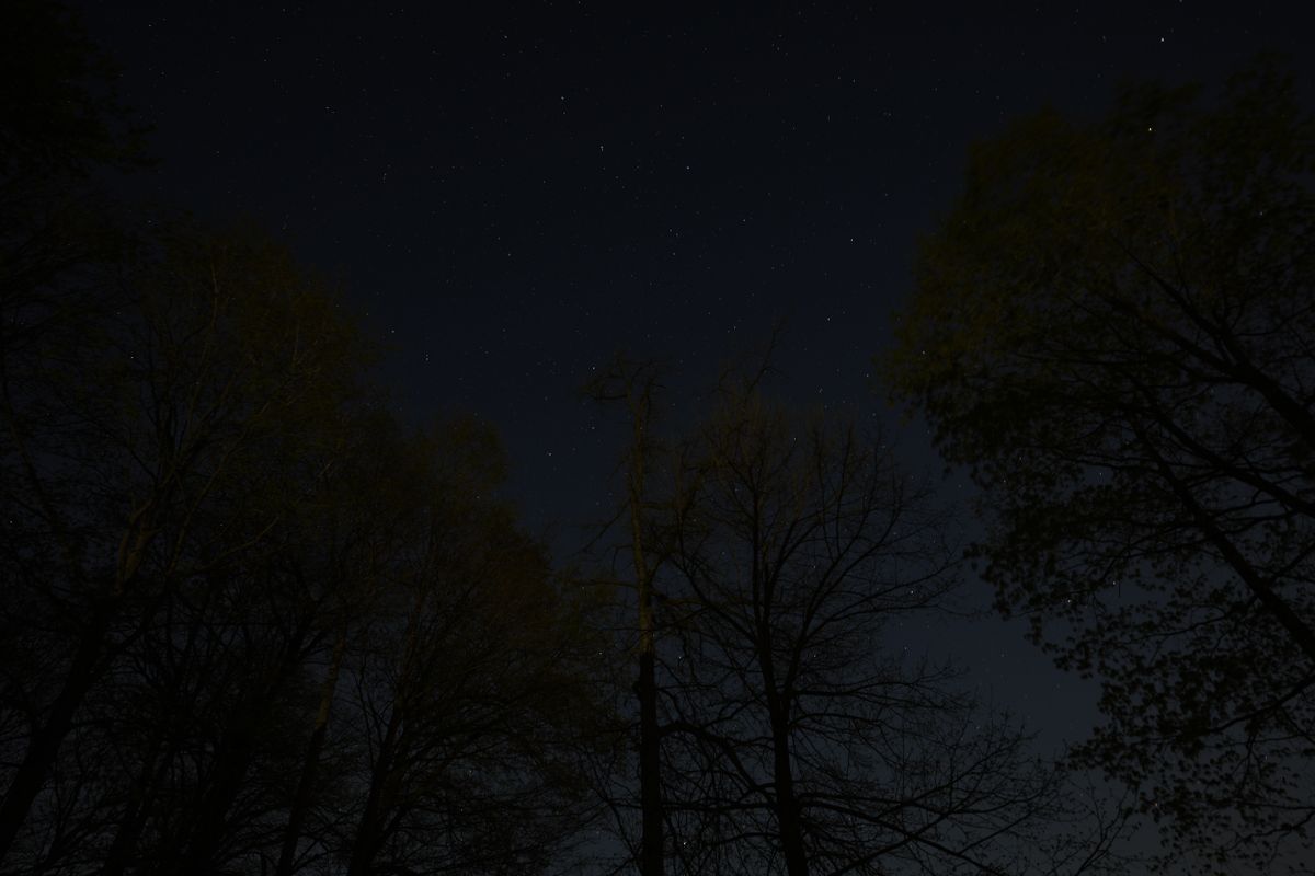 Sample image shot on the Sony A7R VI, unedited JPEG