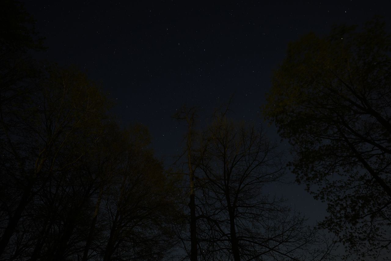 Sample image shot on the Sony A7R VI, unedited JPEG