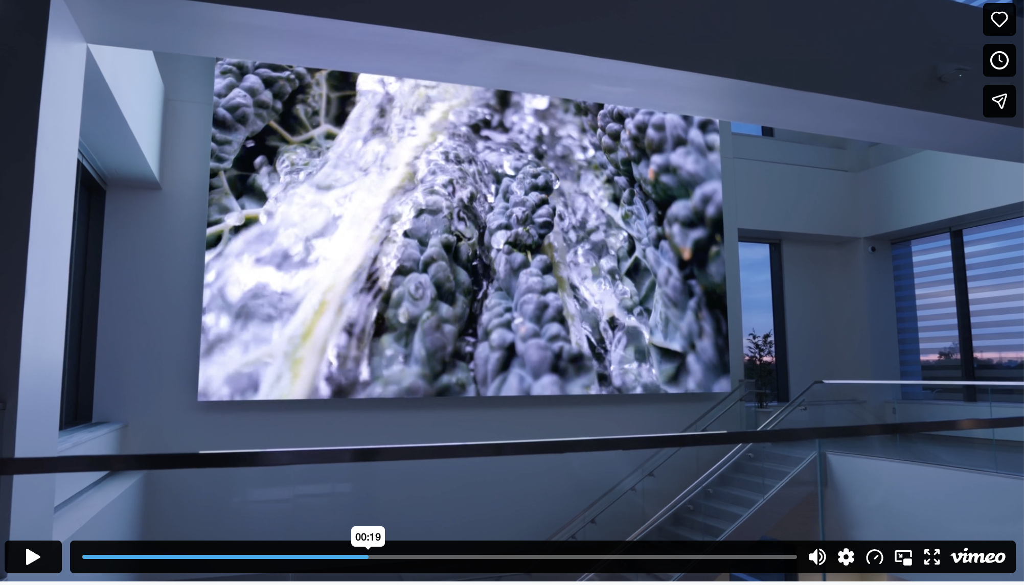 leftchannel defined and led what would move across it: content strategy and visual direction tied to the institute's brand identity and educational mission.
