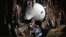 A boulder bears down on Indiana Jones in the movie Raiders of the Lost Ark.