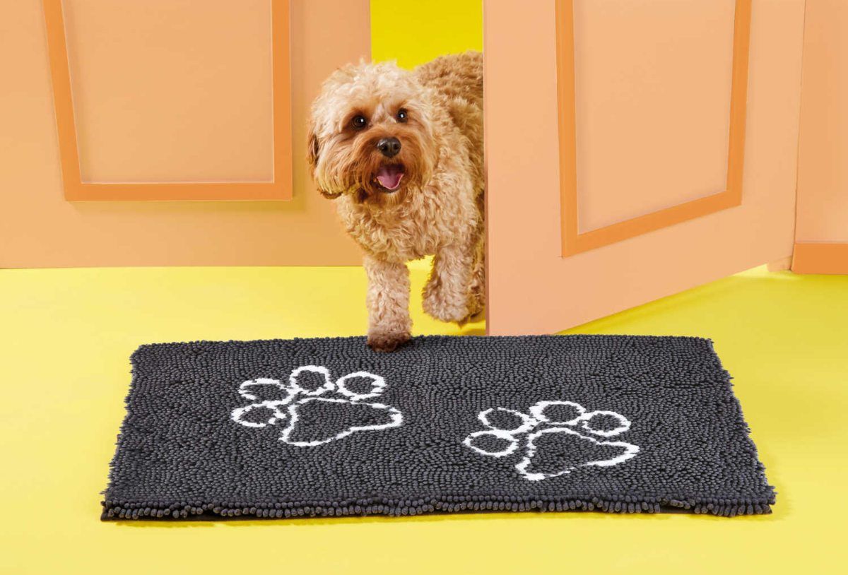 Aldi dog door mat 