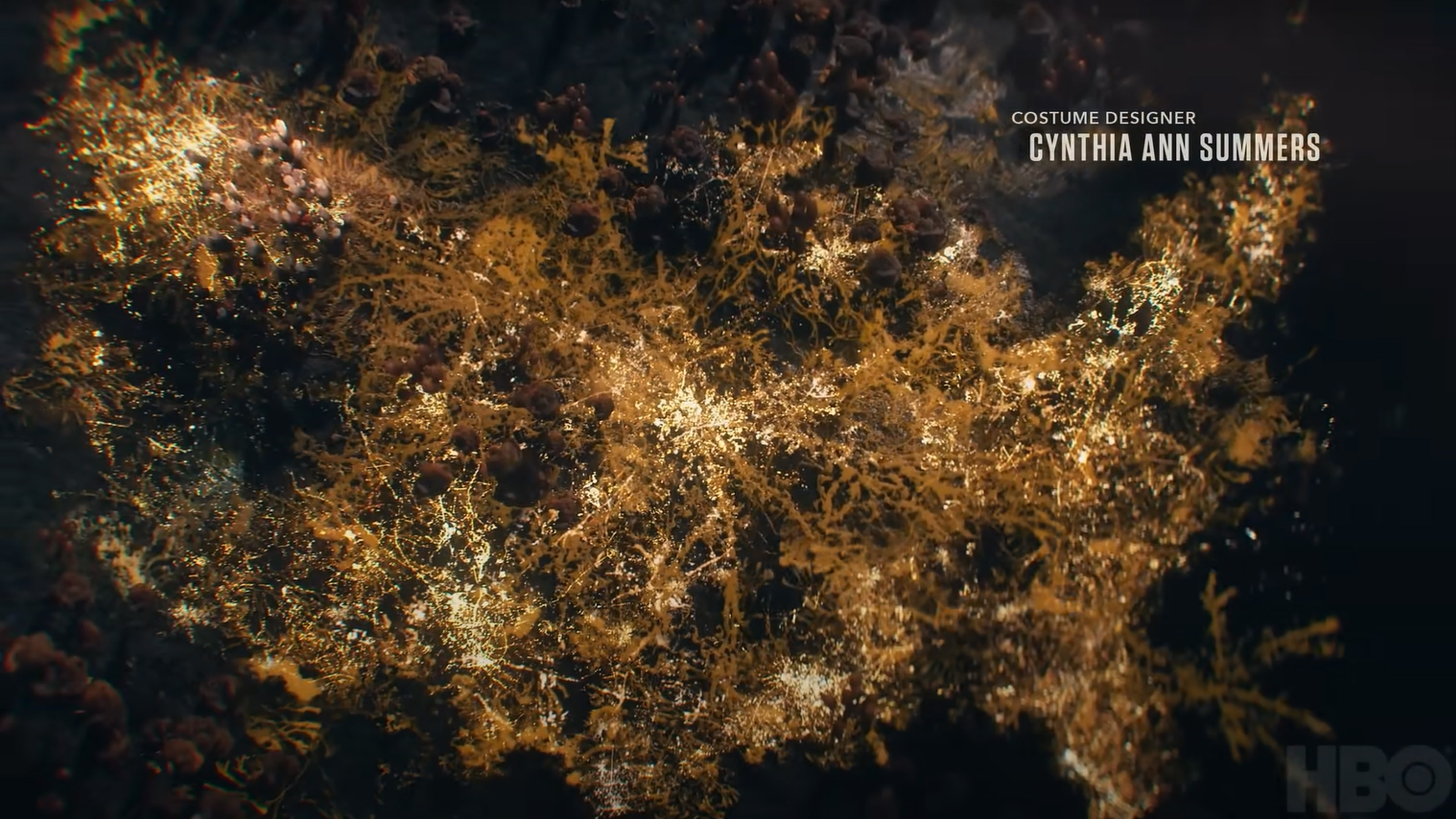 A shot from the intro to the HBO Last of Us show that resembles the map of America