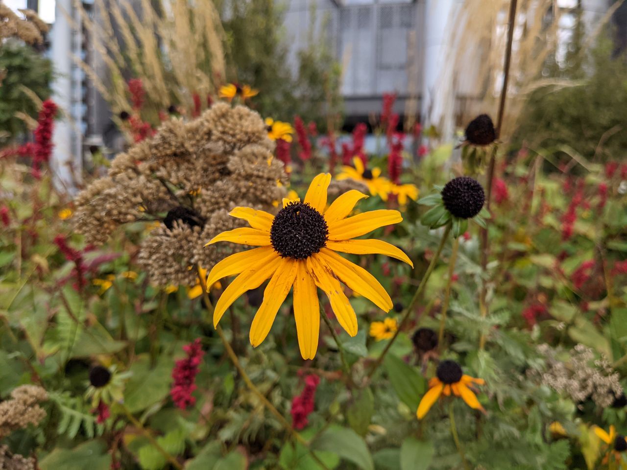 I thought flowers were meant to be vibrant and bright?