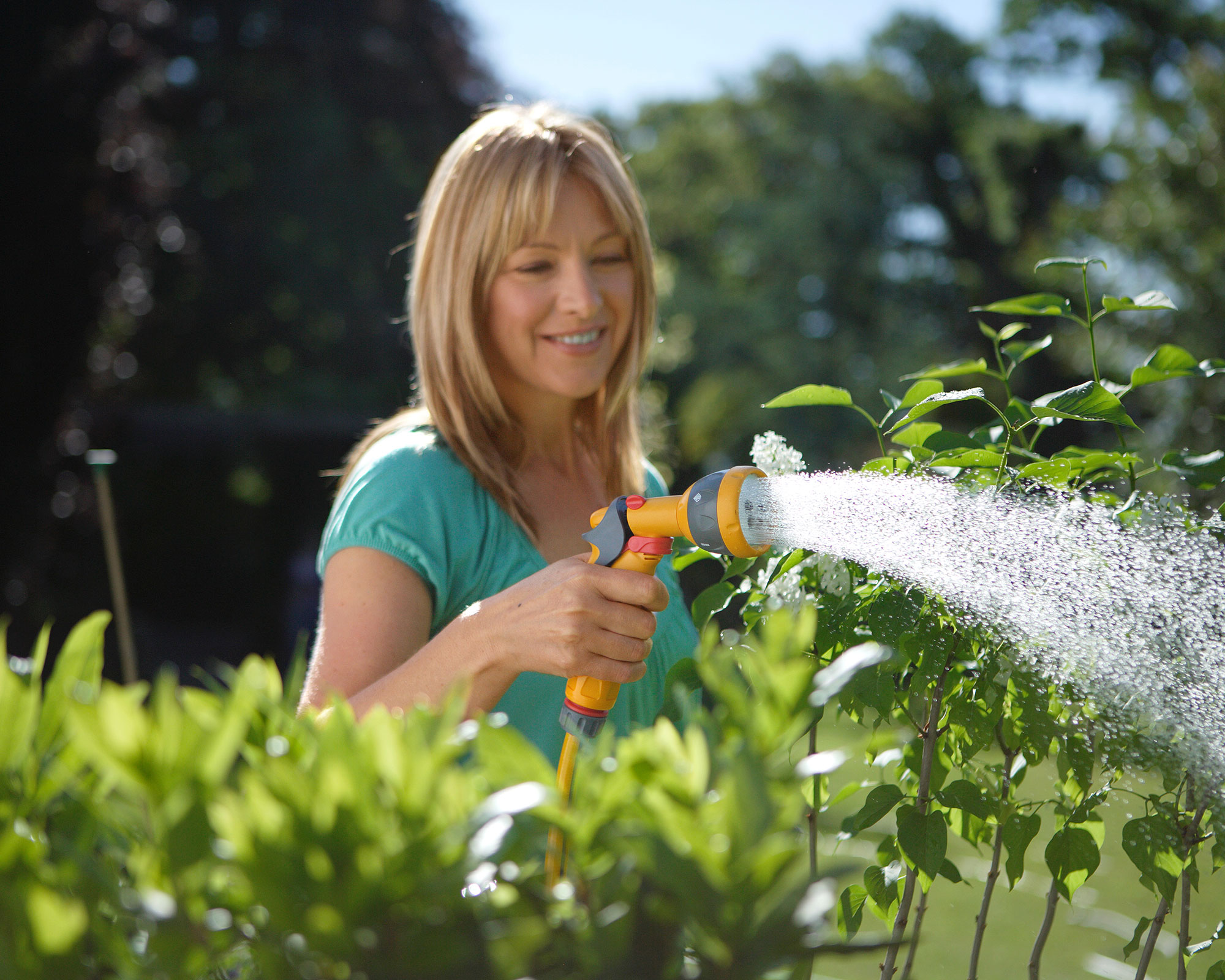 When is the best time to water plants? Expert tips on watering your