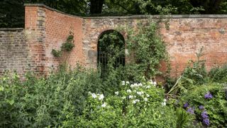 garden wall ideas