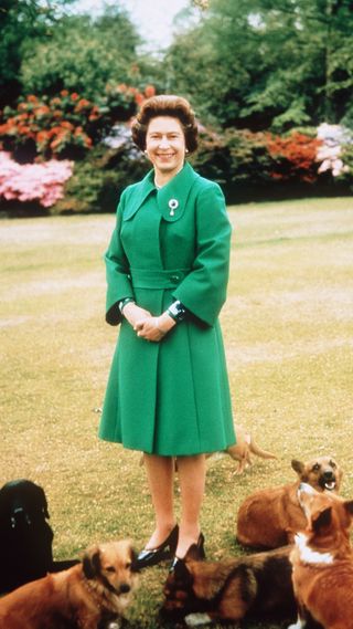 Queen and her dogs in garden