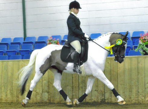 alfie-regionals-2014-001.jpg