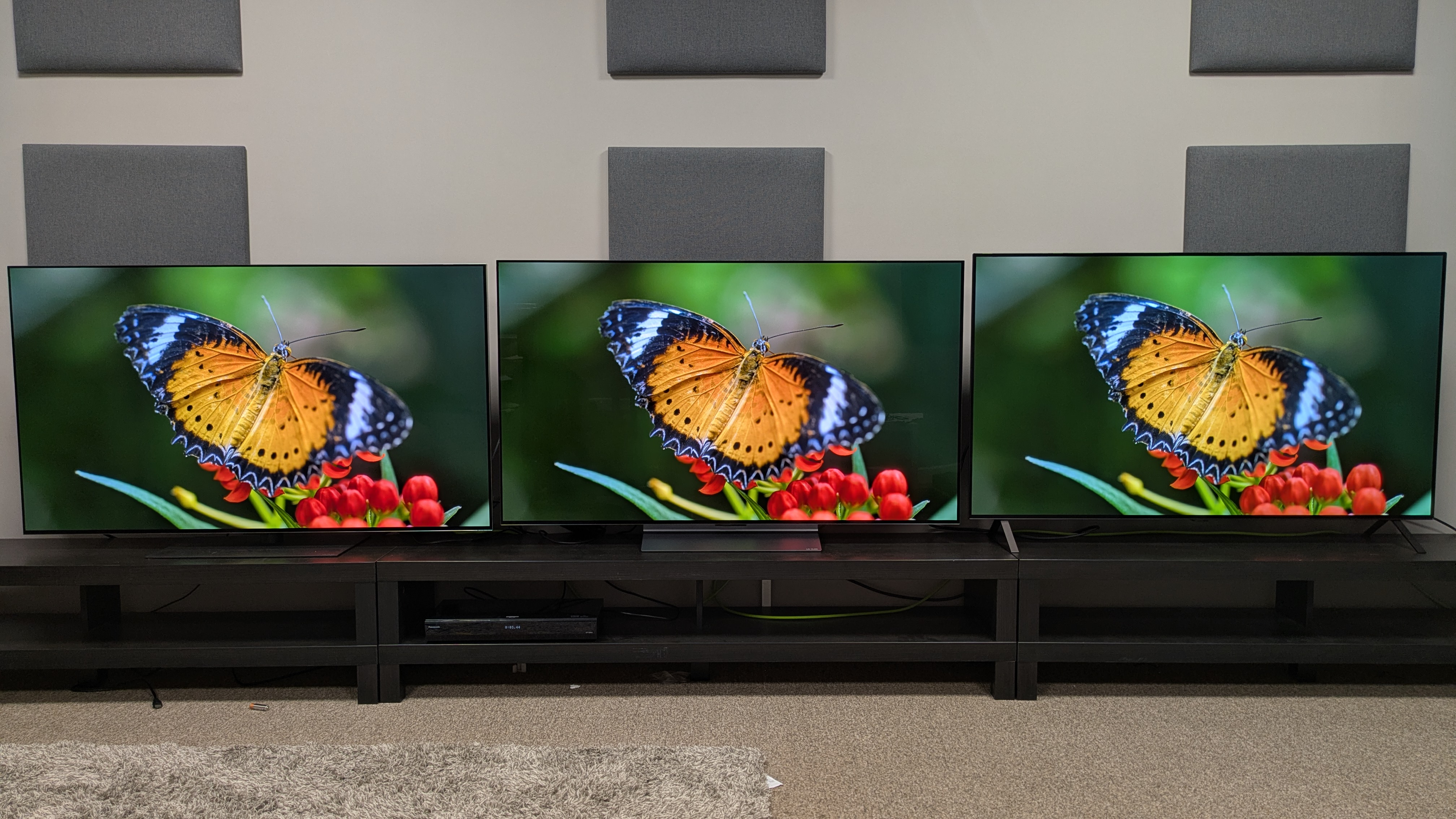 The LG G5 (left), LG C5 (middle) and LG B5 (right) showing an orange butterfly on screen