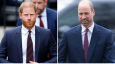 Composite of an image of Prince Harry in April 2025 and an image of Prince William in March 2025