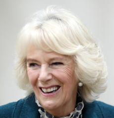 Queen Camilla wearing a blue coat and laughing at a 2017 tea party