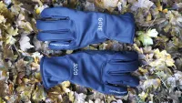 A close up of a Gore Windstopper Thermo glove on leafy ground