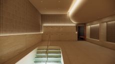 lore bathing club in new york