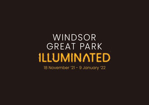 Windsor Great Park Illuminated